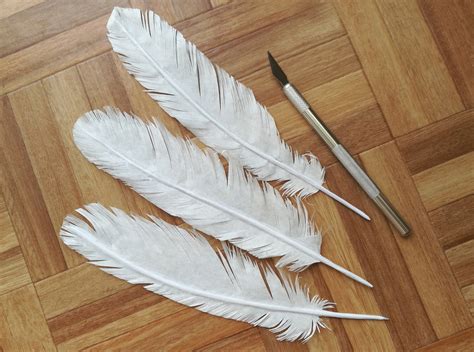 fake feathers for clothing|realistic feathers.